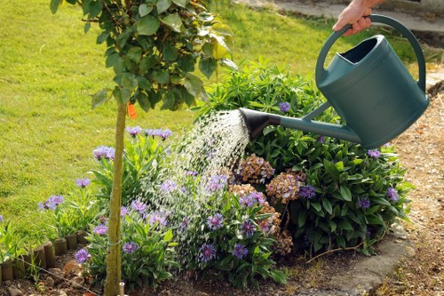 Professional cleaning equipment in use