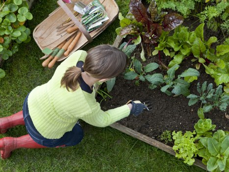 Cleaning tools and eco-friendly products on a wooden deck