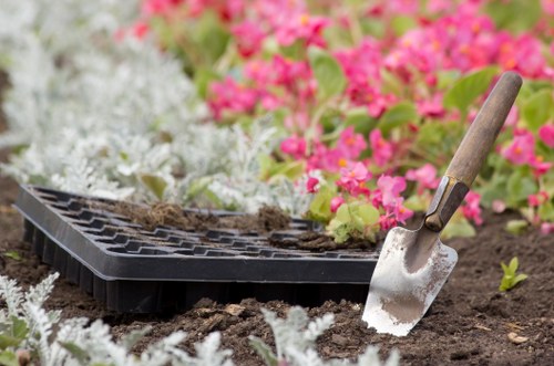 Homeowner using eco-friendly cleaning techniques on a deck