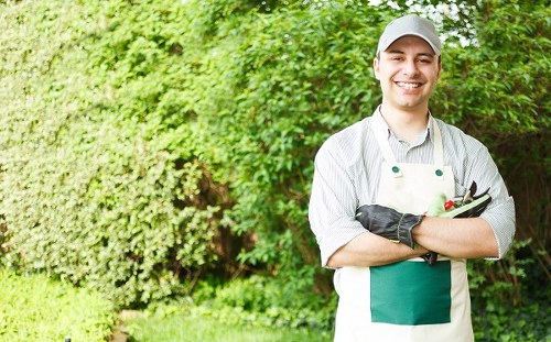 Expert using eco-friendly cleaning agents on wood deck