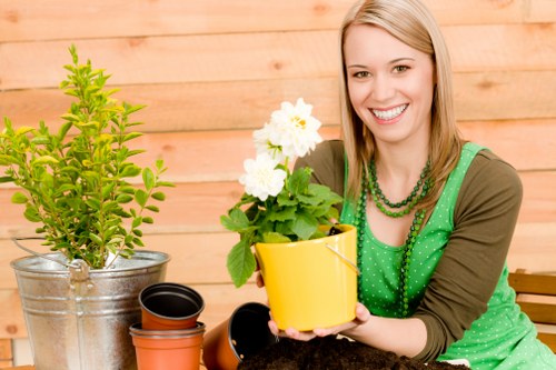 Clean and maintained decking with advanced tools