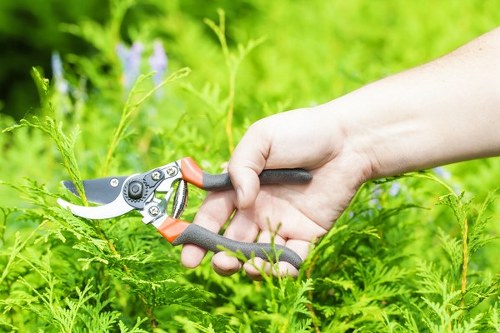 Outdoor deck cleaning using eco-friendly products