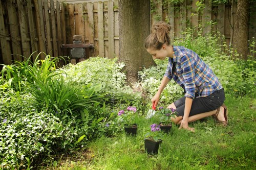 Professional equipment used in cleaning driveways