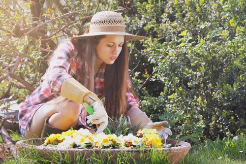 Environmental-friendly decking cleaning in Sipson