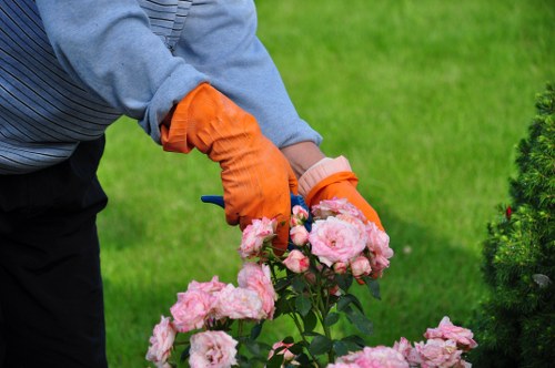 Deck cleaning tools and equipment in use