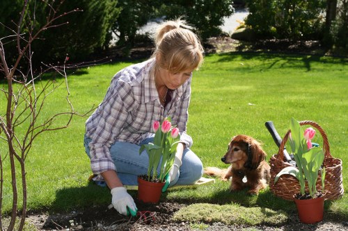 Eco-friendly cleaning solution ingredients on a deck