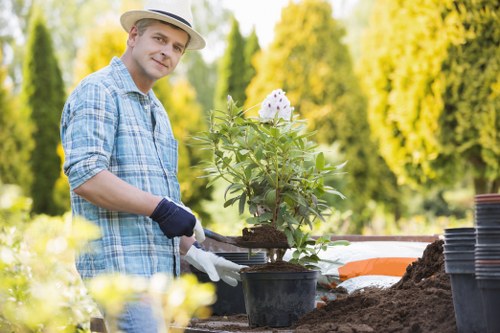 Homeowner maintaining deck with proper cleaning tips