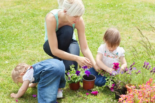 Effective methods for wood deck cleaning