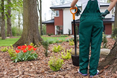 Homeowner cleaning a deck with eco-friendly solutions