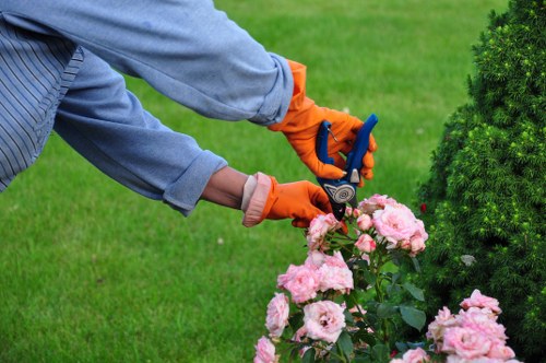 Eco-friendly decking maintenance practices in progress