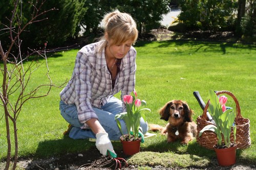 Detailed deck maintenance tips and eco-friendly cleaning practices