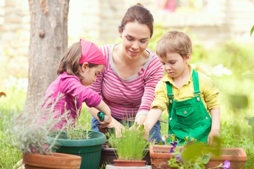 Deck cleaning tools and eco-friendly cleaning agents in use