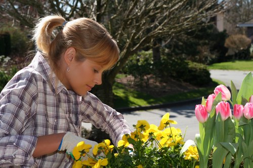 Expert deck cleaning service in action