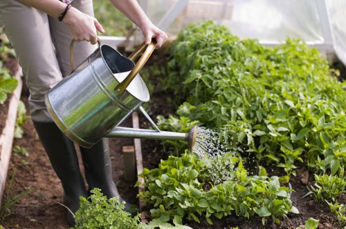 High-pressure deck cleaning equipment in Isleworth