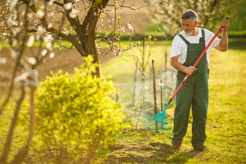 Using eco-friendly cleaning products on a wooden deck