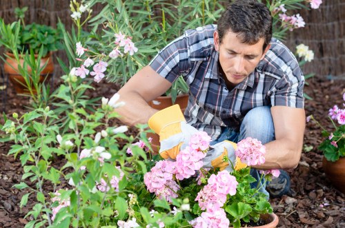 A professional team cleaning a deck in Northwood with eco-friendly methods