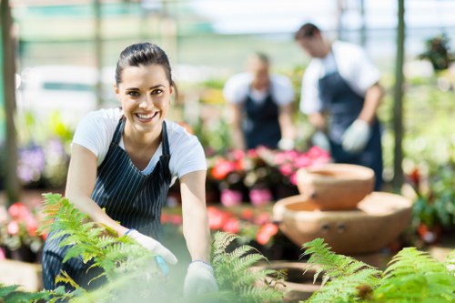 Professional lawn mowing in London