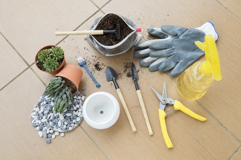 Chemical and Natural Tree Stump Removal Methods Compared