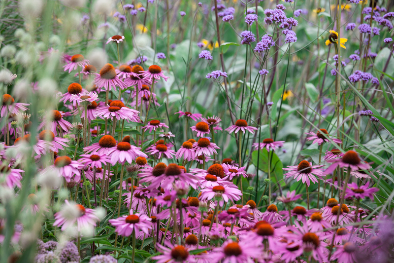 Let Tall-Potted Plants Transform Your Outdoor Area Into a Private Sanctuary